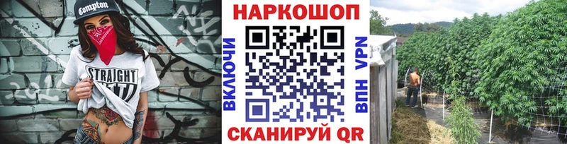 Где можно купить наркотики Шенкурск ГАШ  Alpha PVP  Мефедрон  МАРИХУАНА 