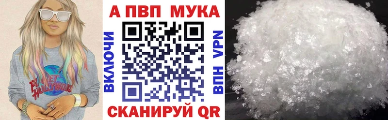 A PVP СК КРИС Шенкурск