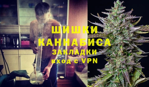 spice Пестово