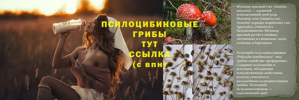 гидропоника Переславль-Залесский