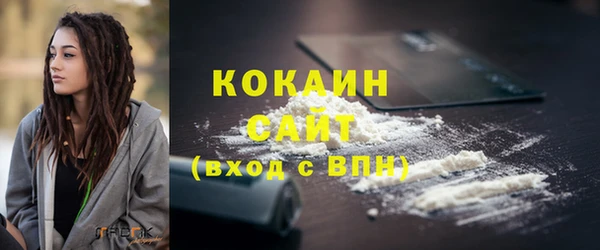 соль ск Пересвет