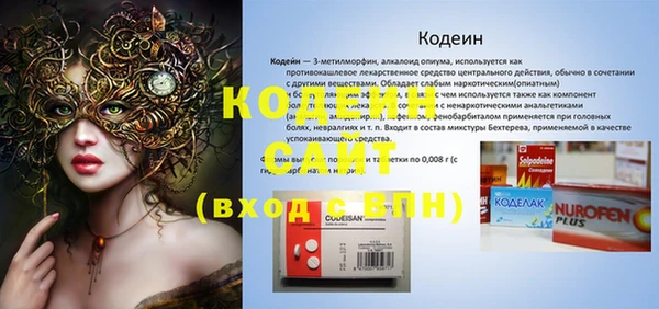 соль ск Пересвет