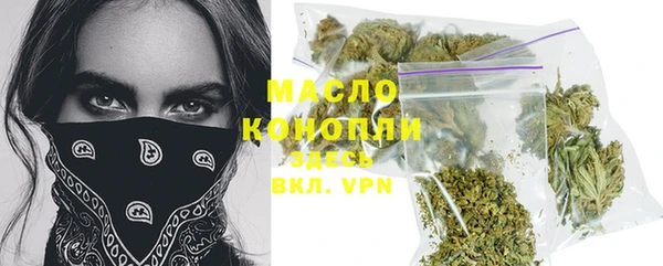 соль ск Пересвет