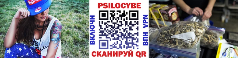 Псилоцибиновые грибы мухоморы  купить закладку  Шенкурск 